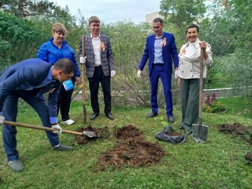 Профсоюзные активисты высадили деревья в честь 80-летия Победы и 120-летия профсоюзов России